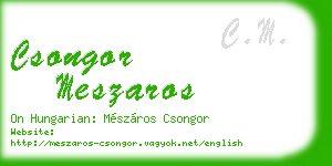 csongor meszaros business card