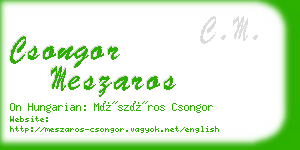 csongor meszaros business card